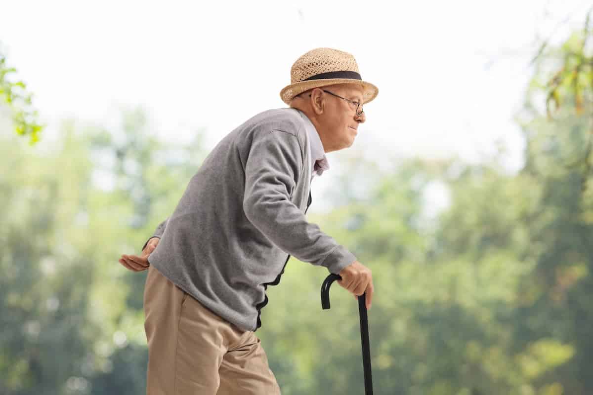 Should All Seniors Use Walking Sticks?